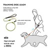 BeauGo Slip Leads for Dogs,Thin Slip Lead,Dog Training Leash,Thin Slip