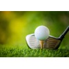 WHAMZ33 W Professional Wooden Golf Tees 2 3/4 inch Tee