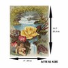 Florida Water Rice Paper, 8 x 10.5 Inch - for
