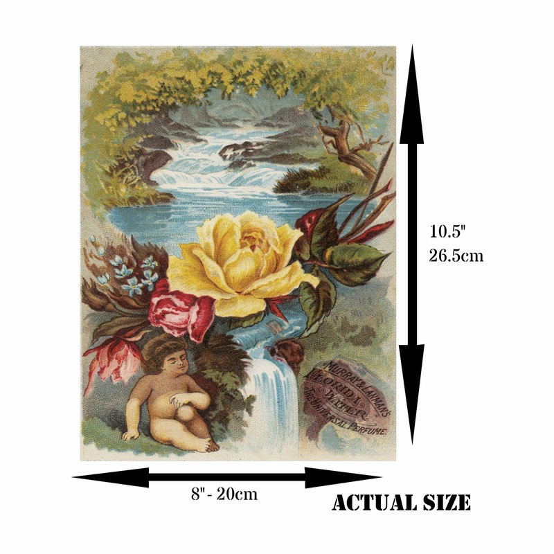 Florida Water Rice Paper, 8 x 10.5 Inch - for