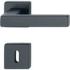 HOPPE 12248174 Lever 52-57, AL3 Handle Set Austin-on Rosette BB,