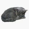 Magnet Grey Cat Sleeping Magnet Bumper Sticker Car Magnet Flexible