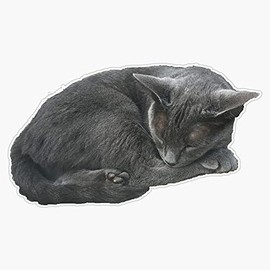 Magnet Grey Cat Sleeping Magnet Bumper Sticker Car Magnet Flexible Reuseable Magnetic Vinyl 5"