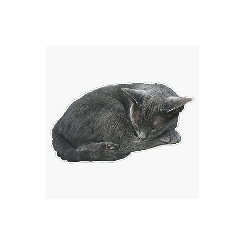 Magnet Grey Cat Sleeping Magnet Bumper Sticker Car Magnet Flexible