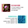 간케어앤유산균 간건강케어 락토바실루스 락토바실러스 롱검 유산균 Liver Care and Probiotics