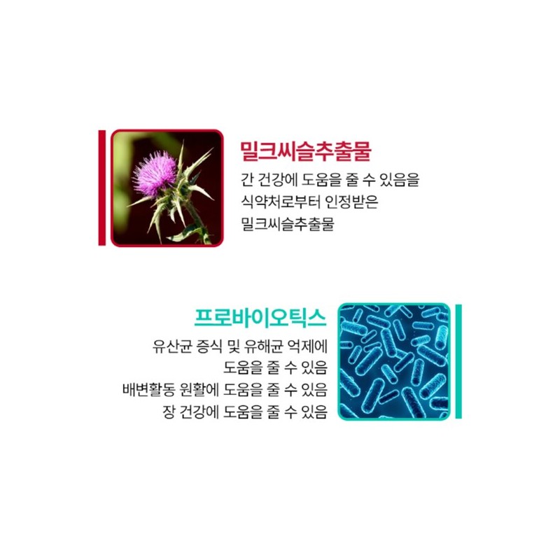 간케어앤유산균 간건강케어 락토바실루스 락토바실러스 롱검 유산균 Liver Care and Probiotics