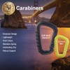 ASP Polymer Carabiner, Gray