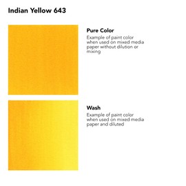Daler Rowney FW Acrylic Ink Bottle Indian Yellow - Versatile Acrylic Drawing Ink for Artists and Students - Permanent Calligraphy Ink - Archival Ink for Illustrating and More