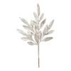Vickerman Glitter Bay Leaf Artificial Christmas Spray in Gold (Set