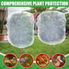 4 Pack Insect Bird Netting Cover - 4.6x6FT Blueberry Bushes