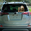 Sloth Automotive Decals Car Window Cling Funny Car Sticker Animal