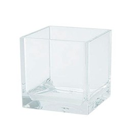 FOYER 2300090 Unbreakable Flower Base Polycarbonate, Stylish, Height 3.9 inches (10 cm), Width 3.9 inches (10 cm), Small