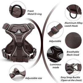 PETCUTE Dog Harness for Dogs, Adjustable Chest Harness for Small Dogs with Reflective Stripes and 1.5 m Dog Lead, Breathable, Escape-Proof, No Pull Harness for Medium and Large Dogs
