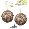 Sosoport 2 Pcs Lightweight Bird Feeding Nest Hanging Bird Feeding