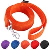 AMAGOOD 6 FT Puppy/Dog Leash, Strong and Durable Traditional Style
