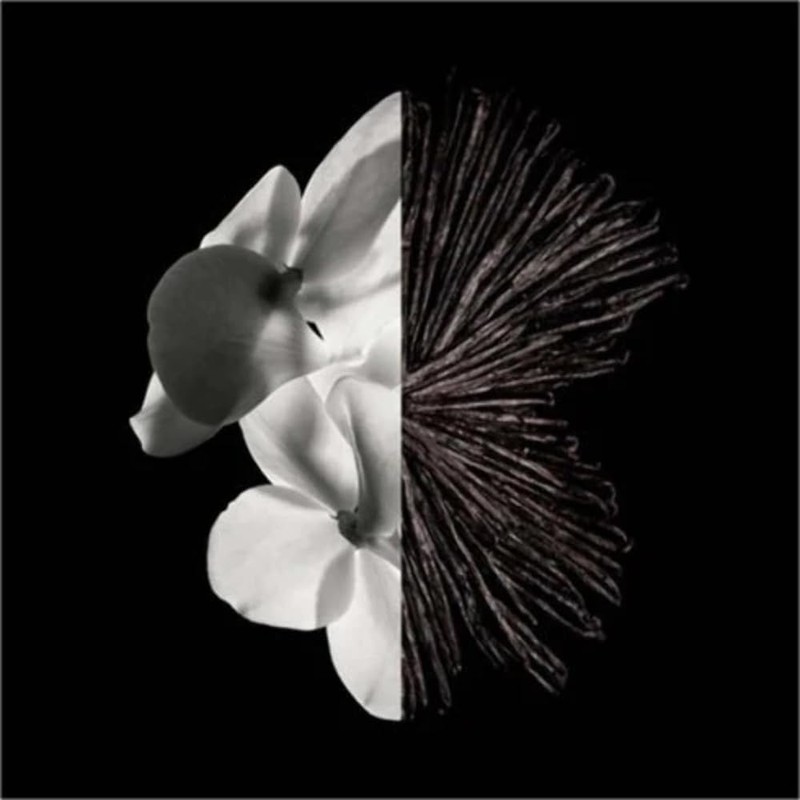 Givenchy Gentleman Eau De Parfum Spray for Men, 3.4 Ounce