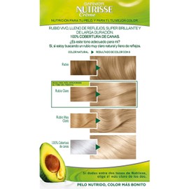 Garnier Nutrisse Cream Coloración Permanent Con Mascarilla Nutritiva De Cuatro Aceites - Rubio Muy Claro 9.0
