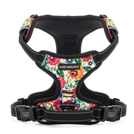 Lucky Love Dog No Pull Dog Harness, Adjustable and Easy to Walk, Cute Patterned Harness for Small Medium Large Male & Female Dogs - Ladybird, Small