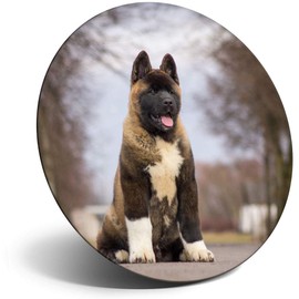 Destination Vinyl ltd Magnet for Refrigerator, Fridge - Large American Akita Puppy Dog for Office, Cabinet and Whiteboard, Magnetic Stickers, 15711