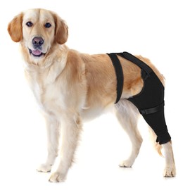 Dog Rear Leg Recovery Sleeve for TPLO to Stop Licking, Wound Surgical Cover After ACL Surgery, Leg Wrap for Back Hip, Thigh, Knee, Dog Cone Collar Alternative (Left, L)
