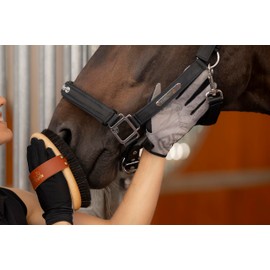Roeckl Sports Lokaier Women's Summer Riding Gloves, Black 8.5