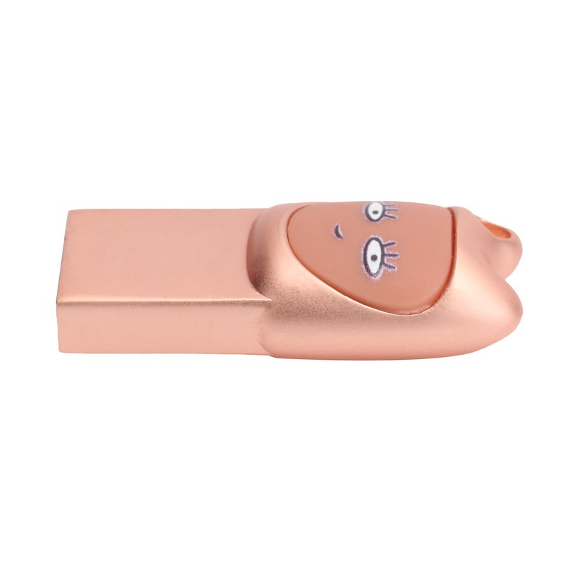 Flash Disk USB2.0 Interface Plugin Free Drive Cartoon U Disk