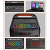 Karaoke Machine for Adults, Portable Bluetooth Speaker with 2 Wireless