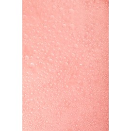 Tanologist Express Light Self Tan Water, 6.76 fl.oz/ 200 ml Bottle | Tanologist