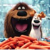 Ravensburger 9413 The Secret Life of Pets Jigsaw Puzzles -
