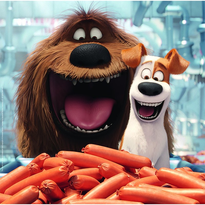 Ravensburger 9413 The Secret Life of Pets Jigsaw Puzzles -
