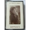 RARE - ROBERT LAMM "SKINNY BOY" CASSETTE TAPE - BRAND
