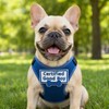 FITZNORA Certified Good Boy Patch with Blue Embroidery Letters, Hook