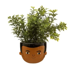 Sass & Belle Mini Ezra Planter