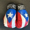 Sports United Puerto Rico Flag Mini Gloves Boxing Car Mirror