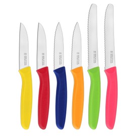 targzier Multicolored 6PCS Paring Knife Set,Ultra Sharp Kitchen Knives,Paring Knives with Ergonomic Handle,Cutting & Peeling Knives for Vegetables and Fruits,Stainless Steel Blade,PP Plastic Handle