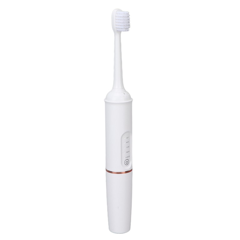 Plaque Remover IPX7 Waterproof Multifunction Electric Teeth Cleaning Kit for