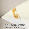 TOENGS Black and Gold Modern Abstract Velvet Pillow Covers 18x18