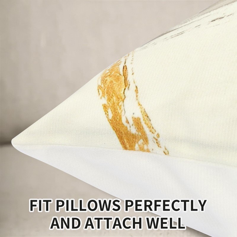 TOENGS Black and Gold Modern Abstract Velvet Pillow Covers 18x18