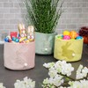 com-four® 3 x Easter Planter, Easter Nest with Easter Bunny