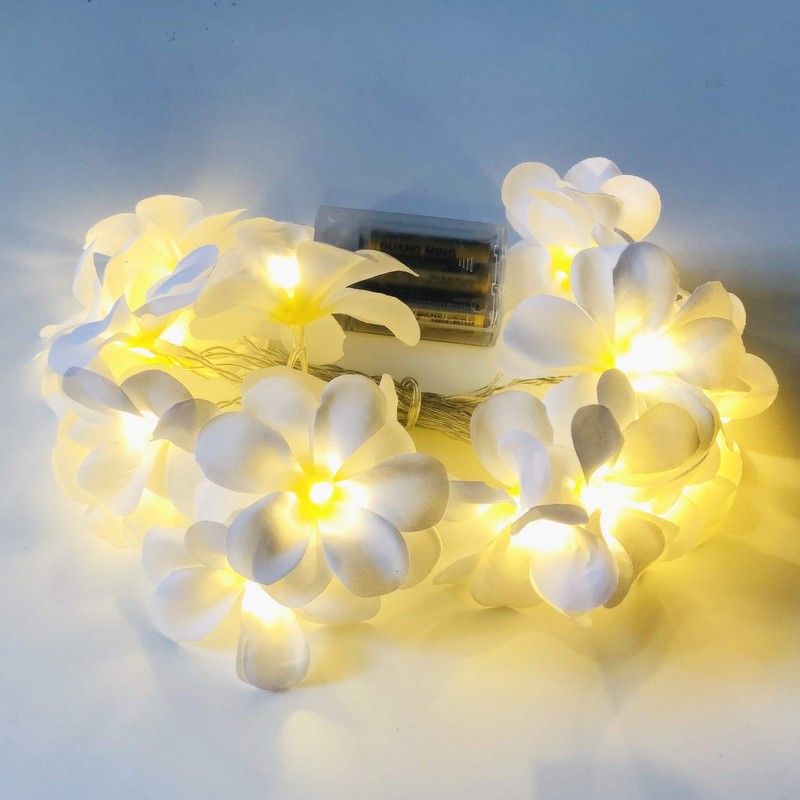 Aquamy Plumeria Garland String Light, Indoor LED Flower Decoration, Artificial