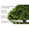 Milltown Merchants Artificial Hedge - Outdoor Artificial Plant - Great