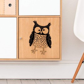 'Goofy Owl' Clear Sticker Decal – Waterproof Film for Windows, Cars, Walls & Crafts, Large (210mm) (DC00142238)