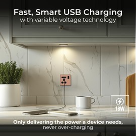 BG Electrical Single Switched Power Plug Wall Socket with Type A USB and Type C USB Charging Ports, Fast Charge, Screwless Front Plate, Evolve, Polished Copper, 13A, 18W, PCDCP21UAC18B