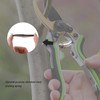 Create idea 8 Pieces Volute Pruner Springs, General Type Stainless