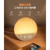 Dreamegg Light Alarm Clock, White Noise Machine, Alarm Light, Light