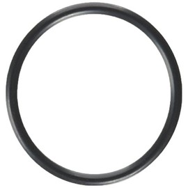 Motorcraft - Seal (P) (RTS1077)