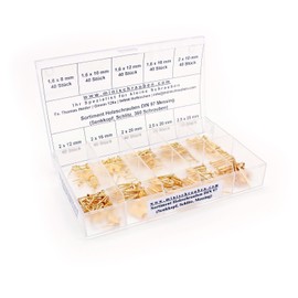 Minischrauben.com Assortment Box with 360 Pieces Small Brass Wood Screws DIN 97 1.6 Countersunk Head with Slotted Mini Screws Assortment with Labeled Box