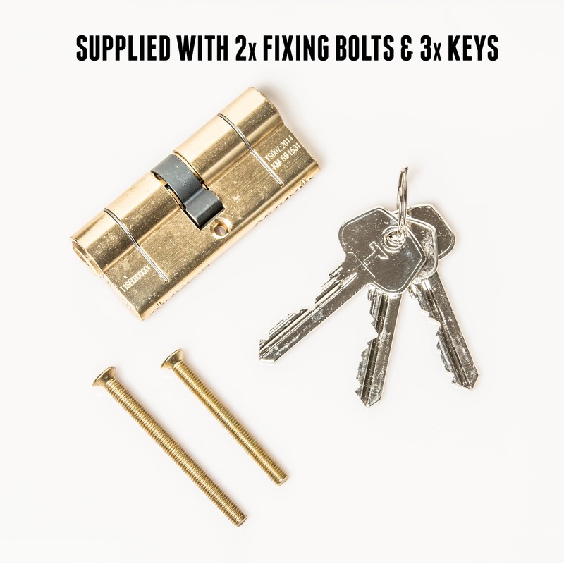 TSS Polished Brass High Security TS007 1 Star Euro Cylinder