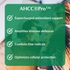 Provita AHCC Pro™ - Powerful Antioxidant with Unique Synergistic Formula