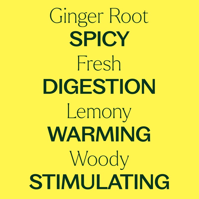 Plant Therapy Ginger Root CO2 Essential Oil 100% Pure, Undiluted,